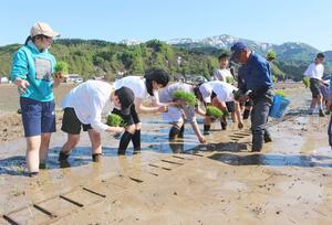 田植えに挑戦する東京都足立区立東綾瀬中の生徒=魚沼市須原