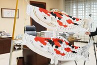 マゴイやヒゴイではなく…錦鯉柄のこいのぼりを県へ寄贈！十日町市の染色加工業者「エーデルワイス工芸社」、錦鯉PRに活用へ
