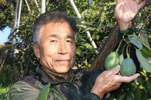 　アボカドを育てる有田文宣さん＝２０２５年１２月、松山市