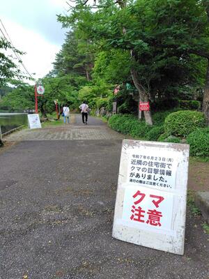 あやめまつりの会場などに設置されたクマ注意の看板=23日、新発田市五十公野