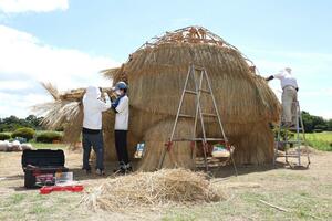 美大生と地元住民が作るわらアート「黄金の亀」=28日、新潟市西蒲区松野尾