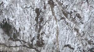 菅名岳で発生した雪崩の現場＝１月１３日、五泉市（新潟県提供）