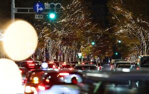 新潟駅南口のけやき通りで毎年恒例の「光のページェント」が始まった=新潟市中央区