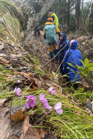 迫力ある滝や、かれんな春の花を楽しんだ参加者ら=佐渡市