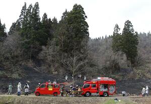 農道沿いから燃え広がり、斜面が焼けた山林=4月8日、長岡市小国町
