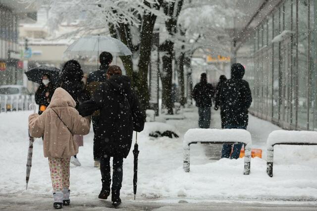 雪が降り続き、平年を大きく上回る積雪となった新潟市中心部＝２４日、新潟市中央区の万代地区