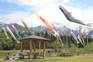 爽やかな風にそよぐこいのぼり＝南魚沼市滝谷