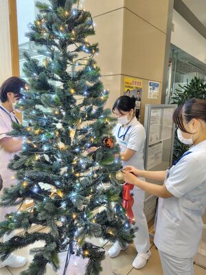 クリスマスツリーに装飾を取り付ける学生=新発田市本町1