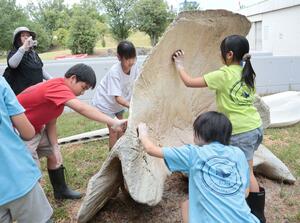 マッコウクジラの骨を洗う上下浜小の児童たち=上越市下門前の上越科学館