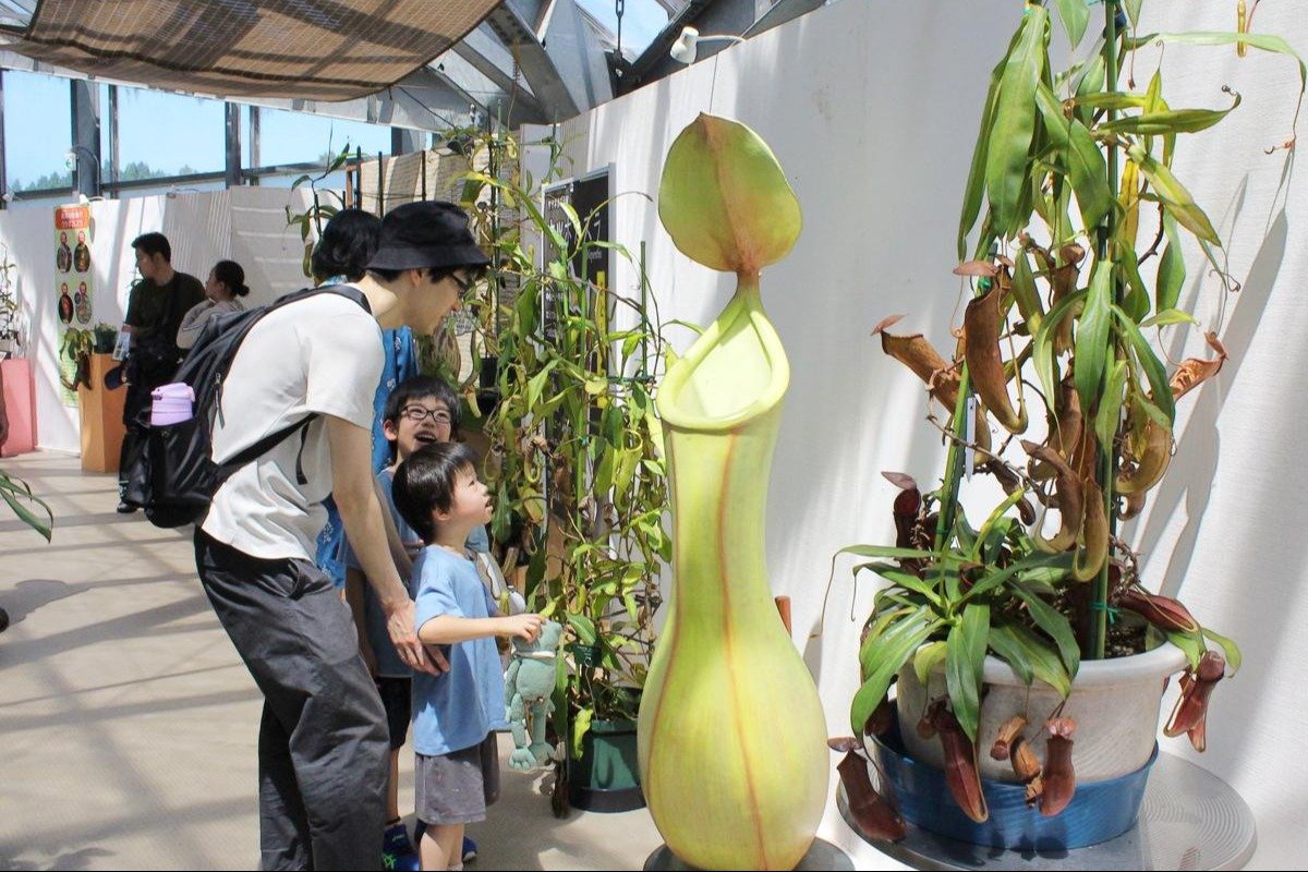 img_4a9354b2a5e494aa204cbd0b12