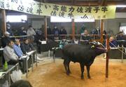 佐渡市で今年初の競り　丹精込めて育てた子牛、高値で次々落札に生産者は笑顔　　