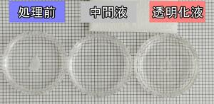 透明化処理をする前は白かったマウスの頭蓋骨(左)は、試薬に浸すと右端のように透明になる(新潟大提供)