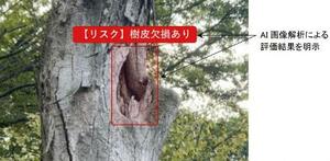 　ＡＩが倒木リスクを解析した画面（三井住友建設提供）