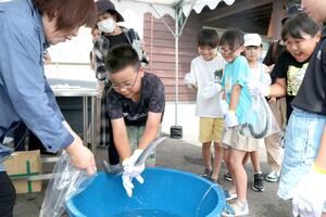 滑りやすいウナギのつかみ取りに挑む食育教室の参加児童=燕市国上