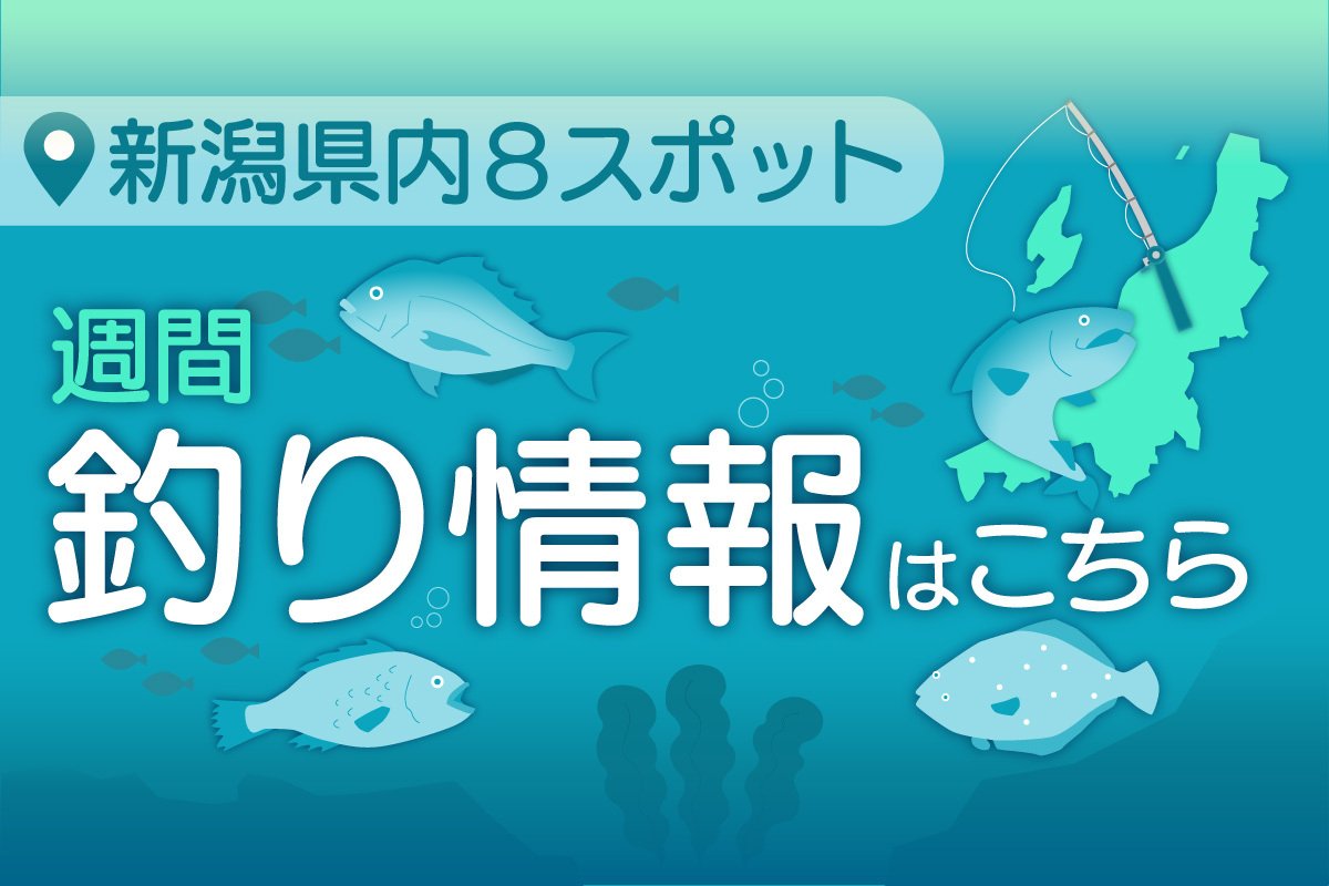 週間釣り情報 | 新潟日報