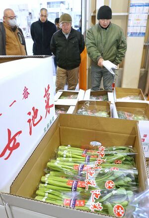 生産者が女池菜の出荷規格などを確認した「目合わせ会」=1月29日、新潟市江南区嘉木