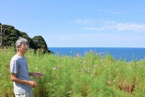 日本海を望むコスモス畑の魅力を説明する管理人の黒﨑裕人さん=柏崎市笠島