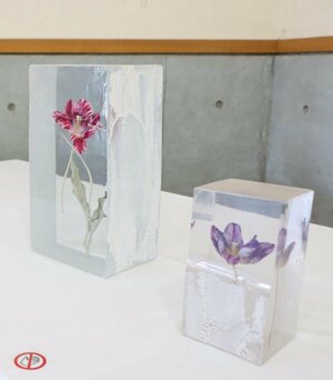 美術作家井上隆夫さんが胎内市で採取したチューリップを使った作品=胎内市築地