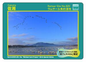 新潟市が作成した佐潟の「湿地カード」。表面には佐潟やハクチョウの写真がある(新潟市提供)