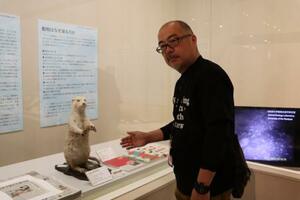 愛媛県内で最後に捕獲されたニホンカワウソの☆(刈のメが緑の旧字体のツクリ)製を紹介する学芸員の小林真吾さん=8月、愛媛県新居浜市