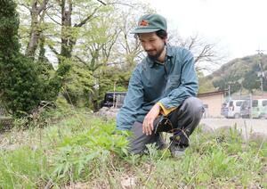 米山トウキの栽培に取り組む前畑彰洋さん=柏崎市谷根