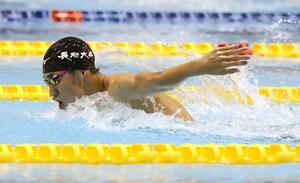 男子４００メートル個人メドレー決勝　県高校新記録で優勝し、２年連続２冠の根岸歩夢（長岡大手）＝ダイエープロビスフェニックスプール