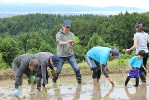 住民と棚田の田植えに汗を流す林家木久蔵さん(中央)=24日、上越市柿崎区下牧