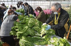 高菜の仲間の野菜「祝蕾」の栽培方法を学んだ研修会=長岡市関原町1