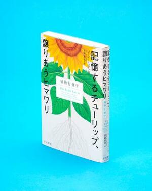 「記憶するチューリップ、譲りあうヒマワリ」