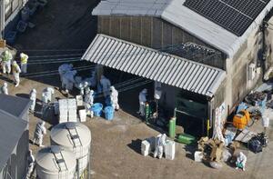 佐賀県鹿島市の養鶏場で殺処分作業を進める関係者=2023年11月