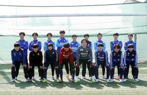 全勝優勝を目標に、静岡県などの強敵に挑む新潟県代表チーム=新潟市江南区