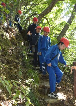 春日山の古道を歩く春日小児童＝上越市大豆