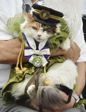 　和歌山電鉄貴志駅の三毛猫の駅長「ニタマ」＝２０２１年、和歌山県紀の川市