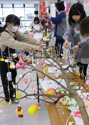 ミズキの木の枝に飾りを付ける参加者＝１０日、見附市学校町１