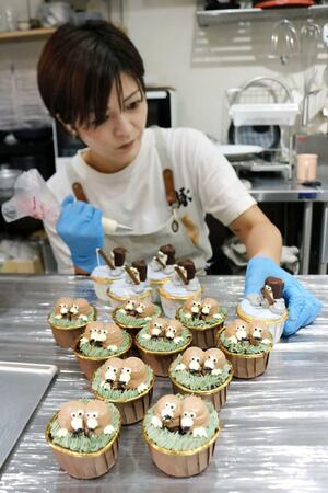 手際良くクリームを絞り出し、愛らしい動物の形に仕上げていく小皆美佳さん=三条市片口