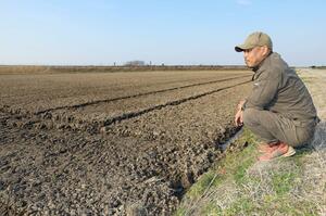 政府の方針転換に戸惑いながら田んぼを見つめるコメ農家の長谷川智行さん＝３日、新潟市西蒲区