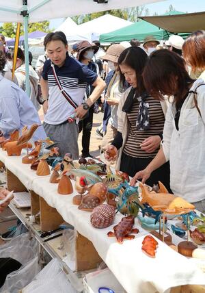 全国の工芸作家の手作り作品を楽しむ来場者=11日、長岡市千秋3