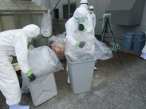 高病原性鳥インフルエンザの感染の確認された養鶏場で鶏の殺処分をする県職員ら=6日、胎内市(県提供)