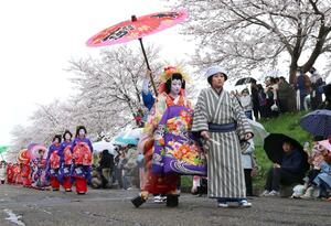 満開の桜の下を練り歩いた「分水おいらん道中」＝２０２５年４月１３日