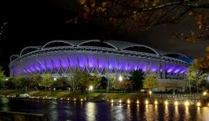 「世界早産児デー」に合わせてライトアップされたビッグスワン＝１７日、新潟市中央区