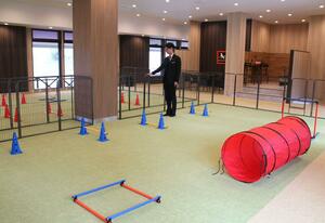 アパリゾート上越妙高に新設された全天候型の屋内ドッグラン＝妙高市桶海