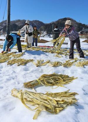青空の下で行われたコウゾの雪さらし=17日、長岡市小国町小栗山
