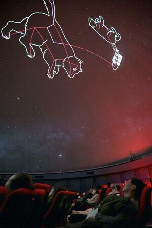 美しい星空で日頃の疲れを癒やした「熟睡プラ寝たリウム」=柏崎市緑町