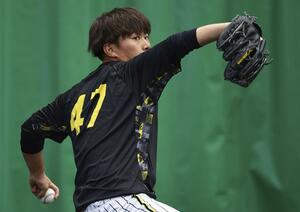 ブルペンで投球練習する阪神・桐敷拓馬＝宜野座