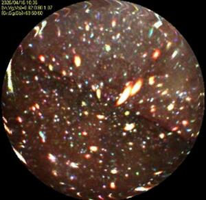 　東京電力福島第１原発２号機の原子炉圧力容器に挿入したファイバースコープで撮影した炉心を囲う隔壁（シュラウド）の外壁＝１６日（東電提供）