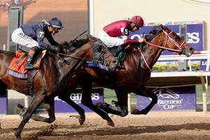 BCクラシックで優勝した坂井瑠星騎乗のフォーエバーヤング(右)=デルマー競馬場(共同)