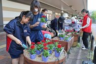 ＪＲ長岡駅に潤いを♡白、赤、ピンク…「花いっぱいフェア」控え長岡市民がペンタス植栽