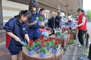ＪＲ長岡駅に潤いを♡白、赤、ピンク…「花いっぱいフェア」控え長岡市民がペンタス植栽