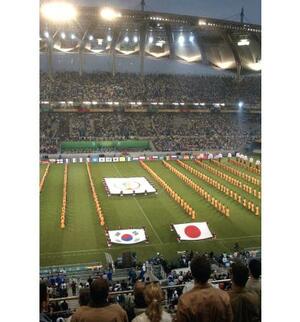 「日の丸」と韓国の「太極旗」がピッチに入場して始まったサッカーW杯の開会式=2002年5月31日、ソウルW杯競技場(共同)