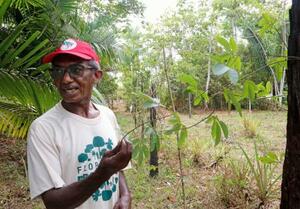 　パッションフルーツのつるを手に農場の説明をするフィーリョさん＝１１月、ブラジル・モスケイロ島（共同）